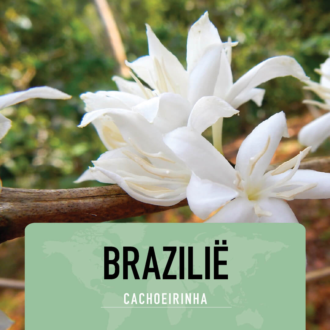 Brazil cachoeirinha