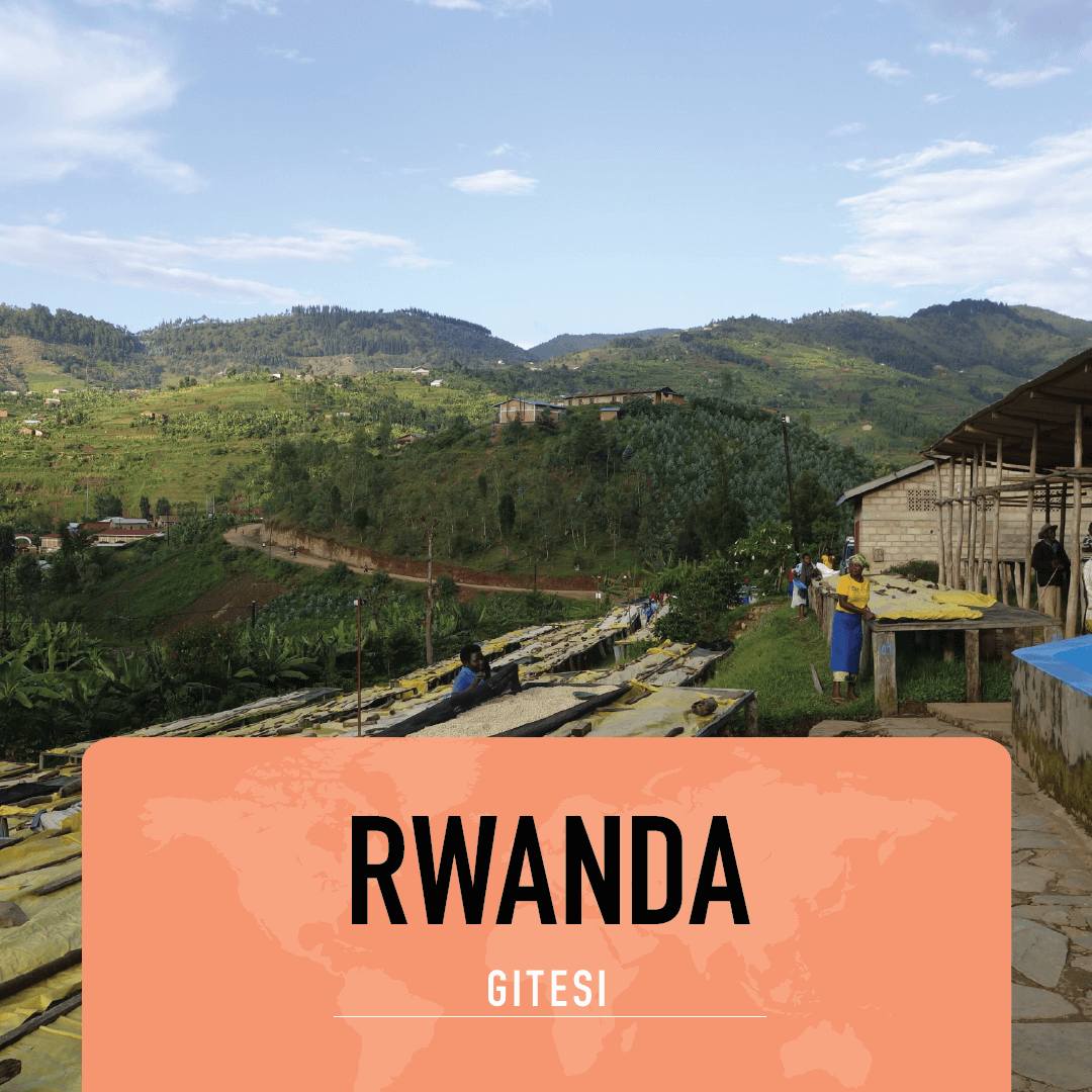 Rwanda gitesi 2025