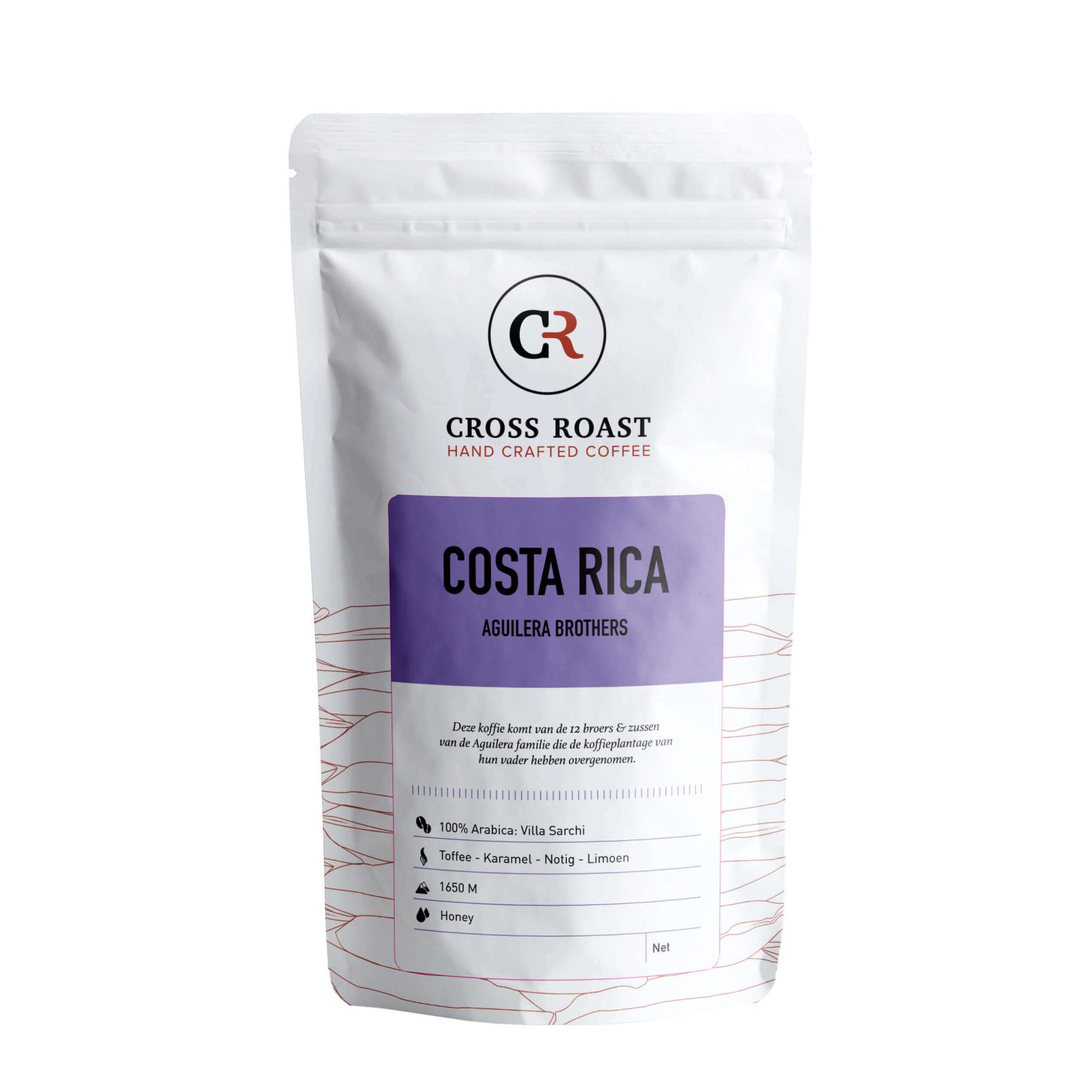 Costa Rica - Aguilera Brothers