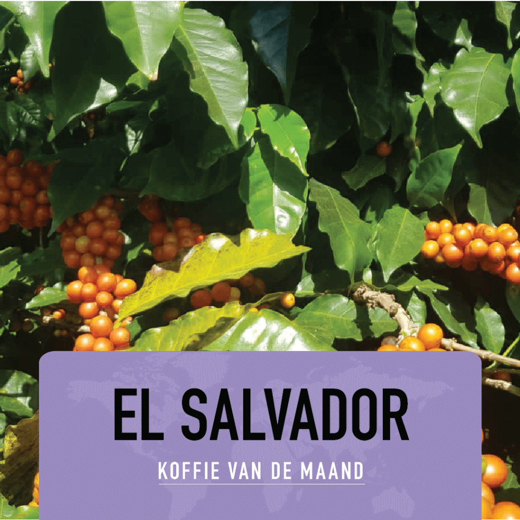 Espressobar Antwerpen | Caffe Mundi